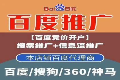 某品牌SEM广告投放的ROI提升案例